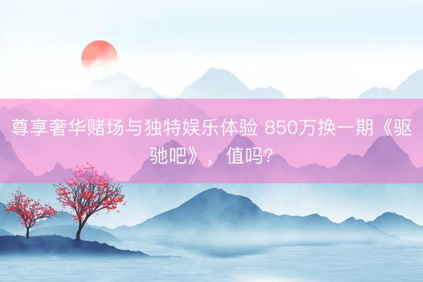 尊享奢华赌场与独特娱乐体验 850万换一期《驱驰吧》，值吗？