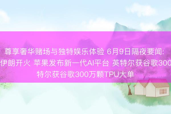 尊享奢华赌场与独特娱乐体验 6月9日隔夜要闻: 以色列暂缓对伊朗开火 苹果发布新一代AI平台 英特尔获谷歌300万颗TPU大单