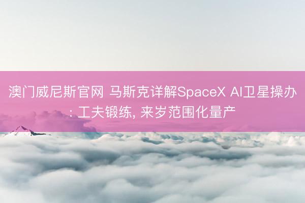 澳门威尼斯官网 马斯克详解SpaceX AI卫星操办: 工夫锻练, 来岁范围化量产