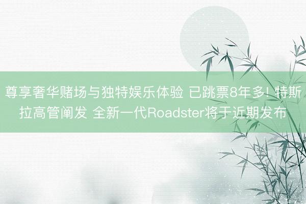 尊享奢华赌场与独特娱乐体验 已跳票8年多! 特斯拉高管阐发 全新一代Roadster将于近期发布