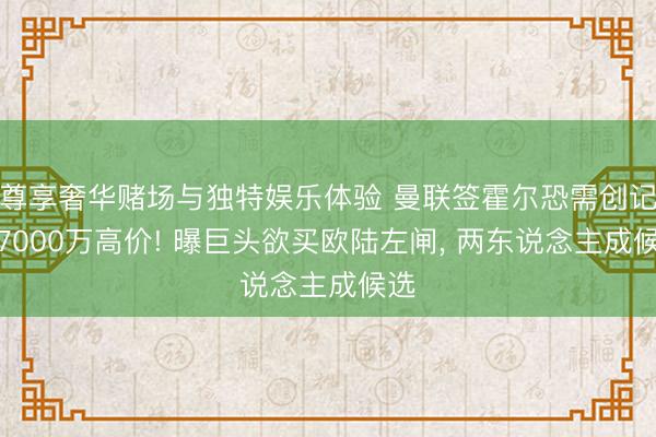 尊享奢华赌场与独特娱乐体验 曼联签霍尔恐需创记载7000万高价! 曝巨头欲买欧陆左闸, 两东说念主成候选