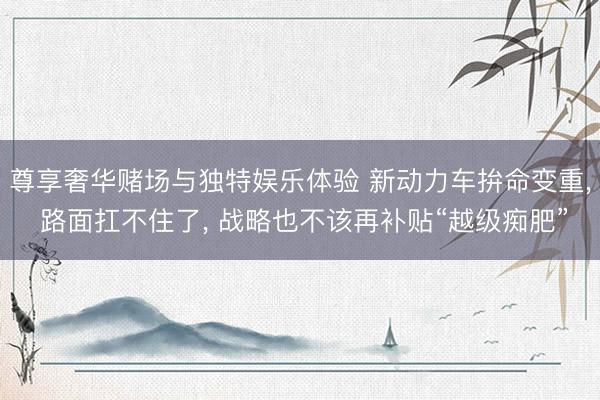 尊享奢华赌场与独特娱乐体验 新动力车拚命变重， 路面扛不住了， 战略也不该再补贴“越级痴肥”