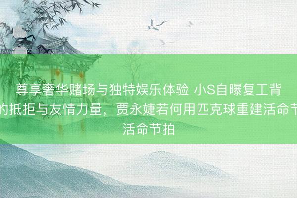 尊享奢华赌场与独特娱乐体验 小S自曝复工背后的抵拒与友情力量，贾永婕若何用匹克球重建活命节拍