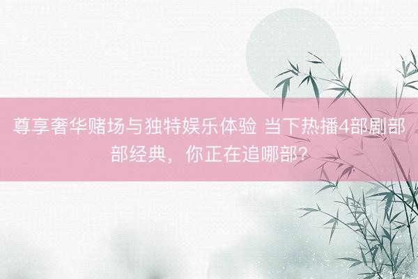 尊享奢华赌场与独特娱乐体验 当下热播4部剧部部经典，你正在追哪部？