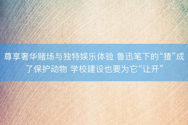 尊享奢华赌场与独特娱乐体验 鲁迅笔下的“猹”成了保护动物 学校建设也要为它“让开”
