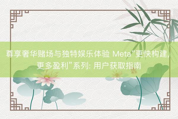 尊享奢华赌场与独特娱乐体验 Meta“更快构建， 更多盈利”系列: 用户获取指南