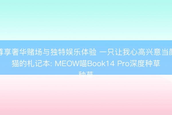 尊享奢华赌场与独特娱乐体验 一只让我心高兴意当颜猫的札记本: MEOW喵Book14 Pro深度种草